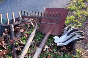 Garden Maintenance Norfolk - Garden Maintenance Services